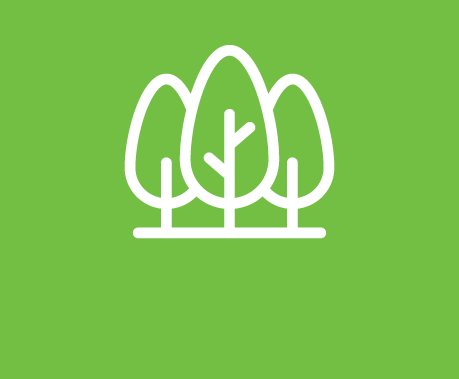 ecosistema de innovación 