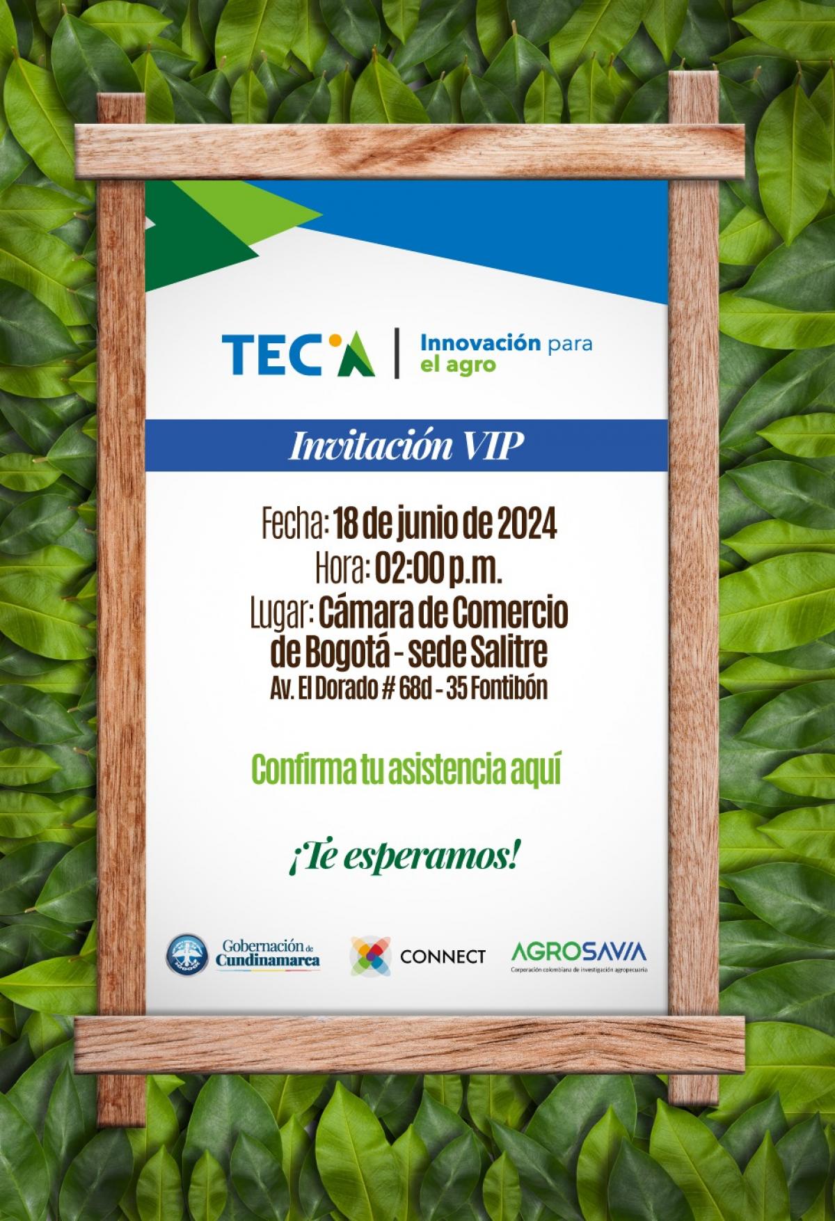 TEC.A