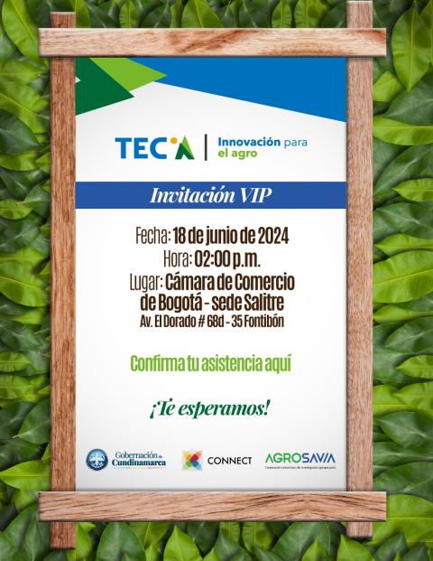 TEC.A