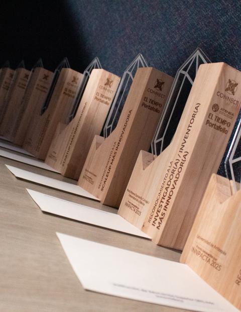 Premio de Innovación 2025