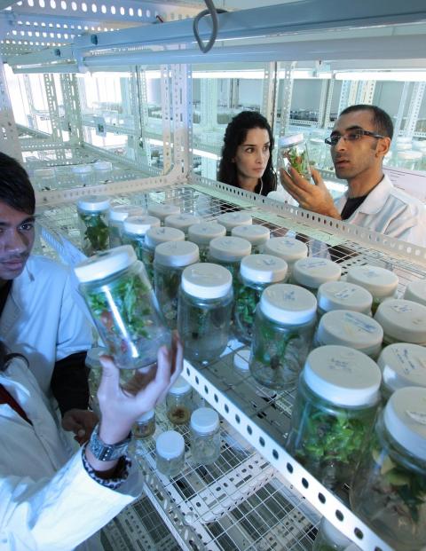 laboratorio innovacion