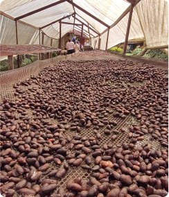 land_agriculture
