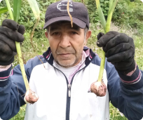 man_holding_garlic