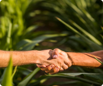 shakehands